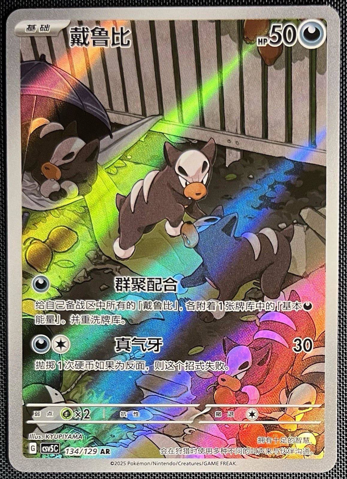 Houndour #134 Pokemon Chinese CSV5C